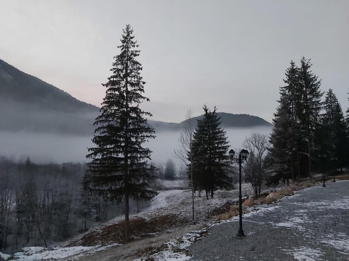 Resort Valea Tatarilor Лаку Рошу Экстерьер фото